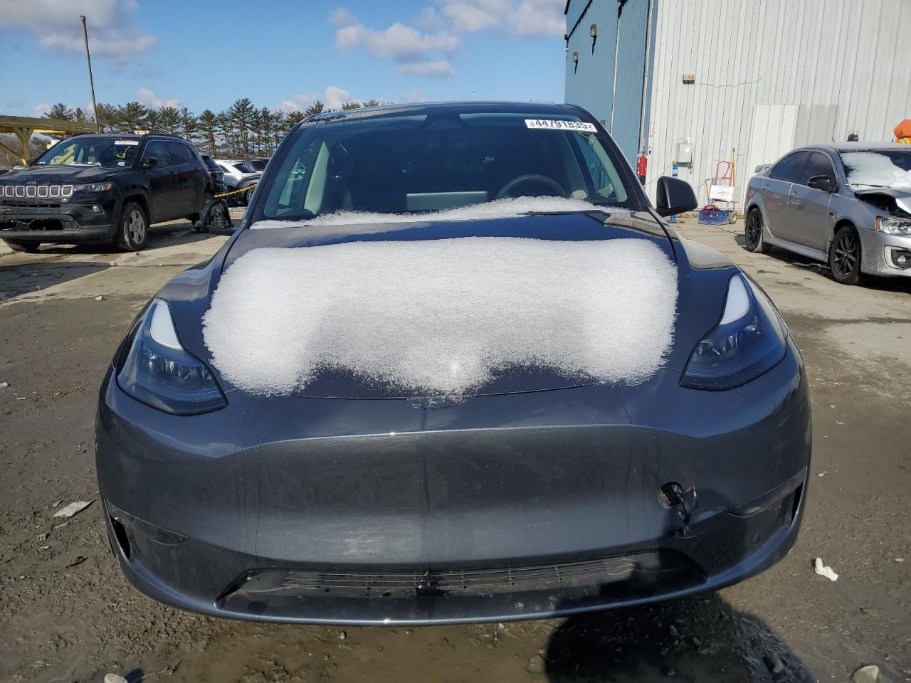 2023 TESLA MODEL Y  VIN:7SAYGDEE1PF842242