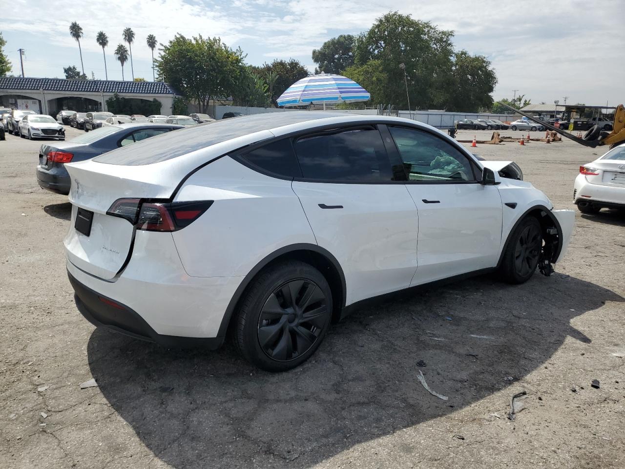 2024 TESLA MODEL Y  VIN:7SAYGDEE5RF131663