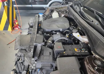2021 Kia Sorento KNARK81BGMA015150 VIN:KNARK81BGMA015150