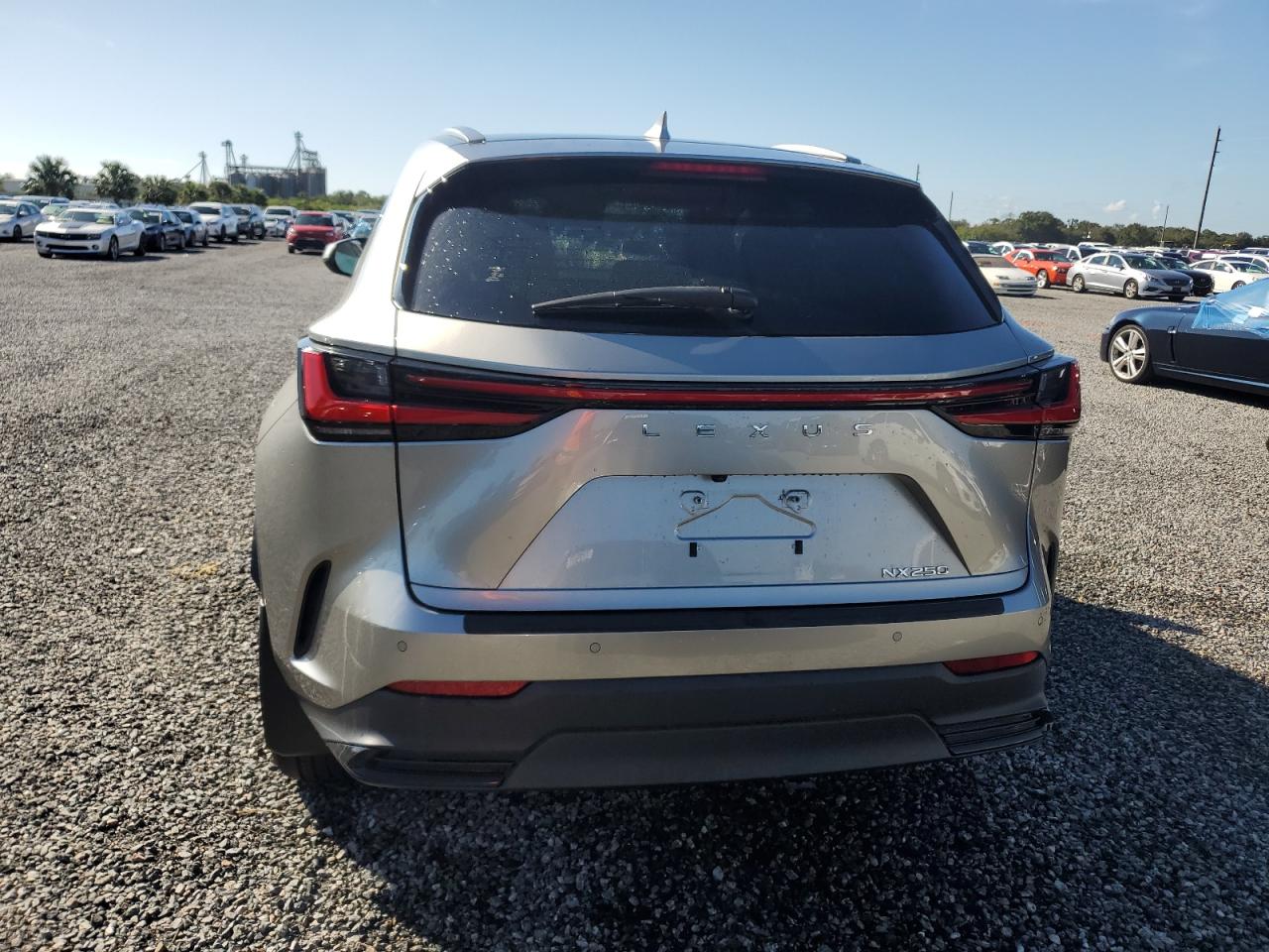 2022 LEXUS NX 250 VIN:JTJGDCAZ9N5002290