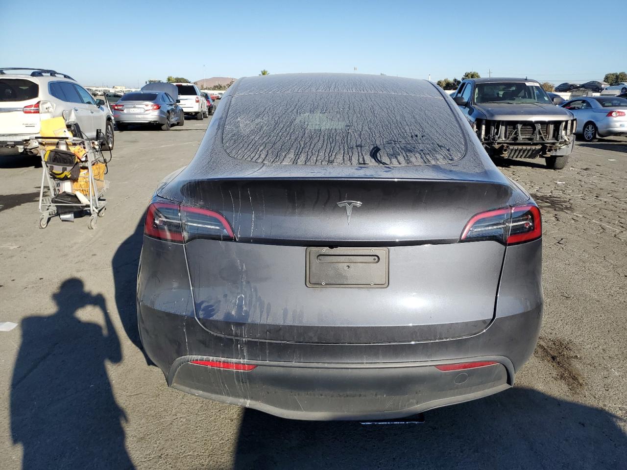 2023 TESLA MODEL Y  VIN:7SAYGDEDXPF933727