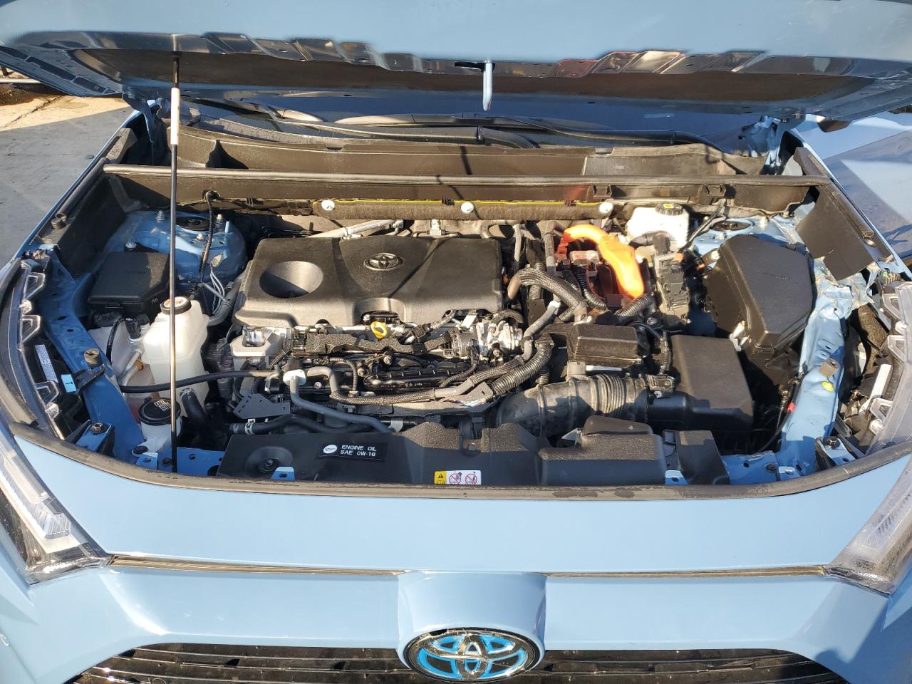 2024 TOYOTA RAV4 XSE VIN:JTME6RFV3RD558846