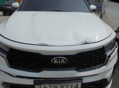 2021 Kia Sorento KNARL81BGMA079110 VIN:KNARL81BGMA079110