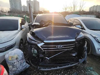 2019 Hyundai Tucson KMHJ581ABKU106662 VIN:KMHJ581ABKU106662