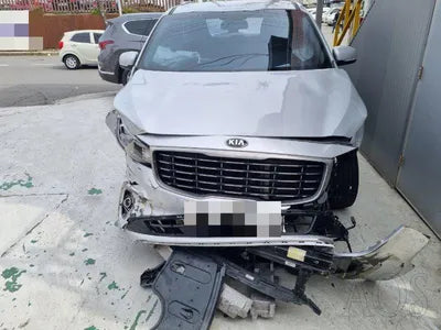 2019 Kia Carnival KNAMB81ABLS621274 VIN:KNAMB81ABLS621274