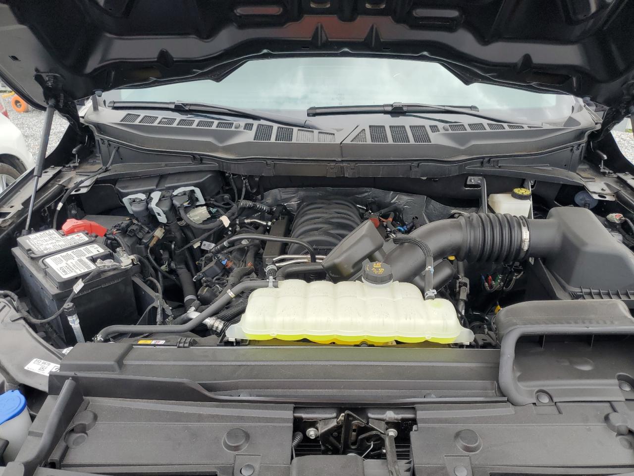 2023 FORD F150  VIN:1FTMF1C59PKF19852