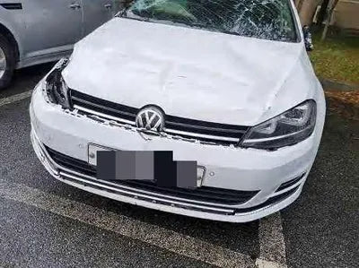 2015 Volkswagen Golf WVWZZZAUZGW021789 VIN:WVWZZZAUZGW021789