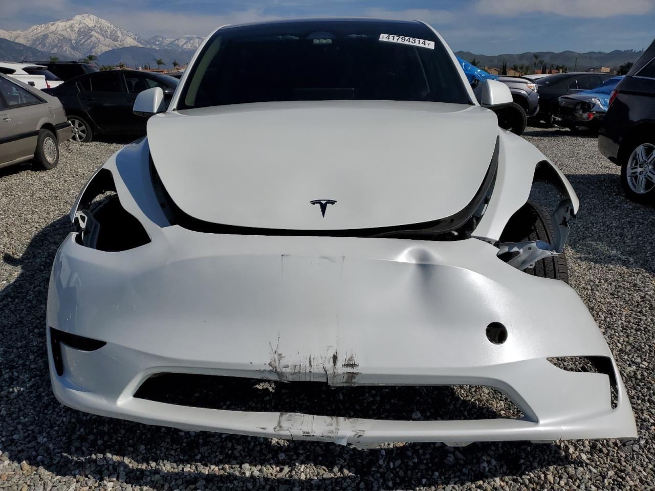 2023 TESLA MODEL Y  VIN:7SAYGDEE4PF808702