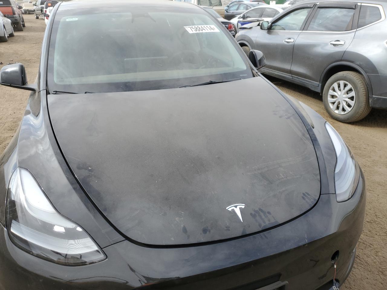 2023 TESLA MODEL Y  VIN:7SAYGDEE5PF664559