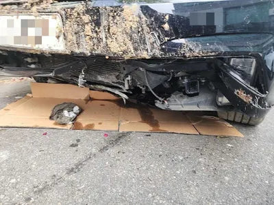 2018 Volkswagen Passat 1VWZZZA3ZJC045356 VIN:1VWZZZA3ZJC045356