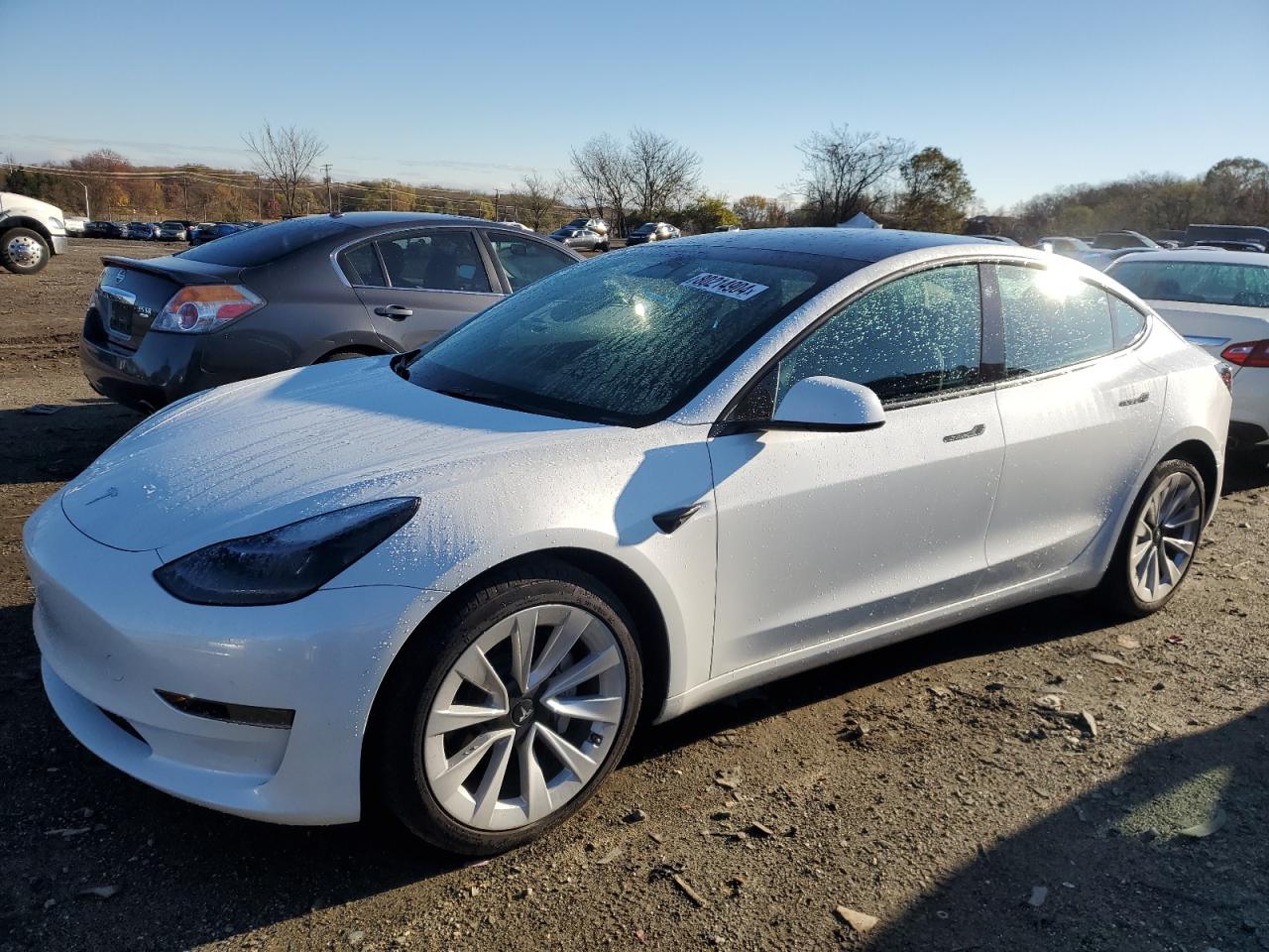 2023 TESLA MODEL 3  VIN:5YJ3E1EA3PF450677