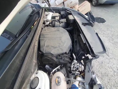 2021 Kia Sorento KNARL81BGMA060460 VIN:KNARL81BGMA060460