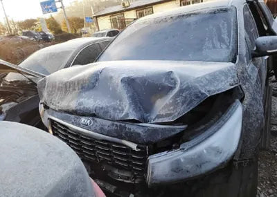 2019 Kia Carnival KNAME811BKS457507 VIN:KNAME811BKS457507