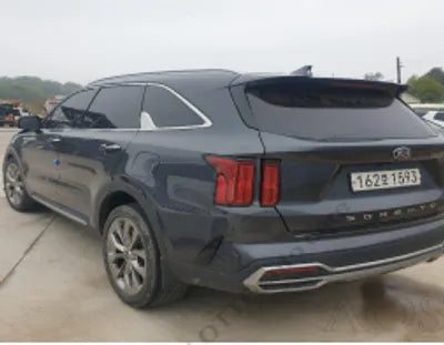 2021 Kia Sorento KNARF81BGMA076325 VIN:KNARF81BGMA076325