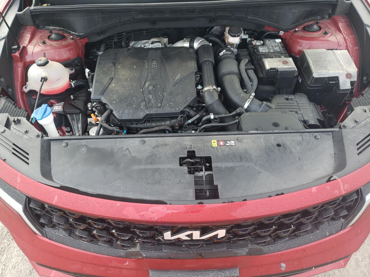 2023 KIA SORENTO SX VIN:5XYRKDLF6PG237458