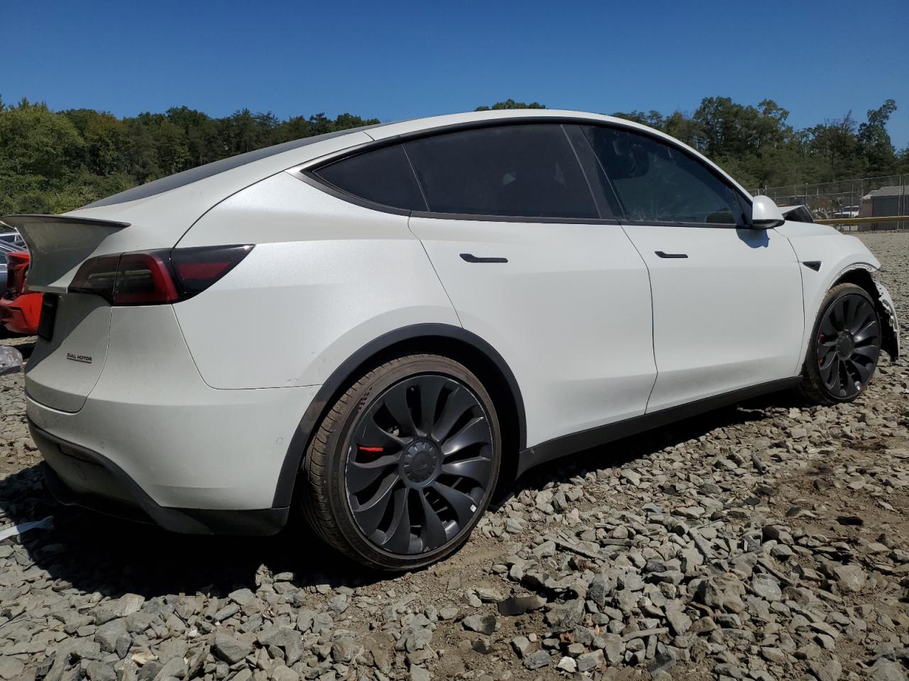 2022 TESLA MODEL Y  VIN:7SAYGDEF9NF463043