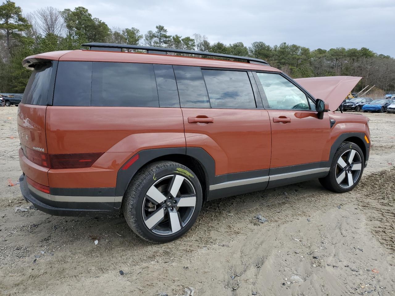 2024 HYUNDAI SANTA FE LIMITED VIN:5NMP3DG13RH013768