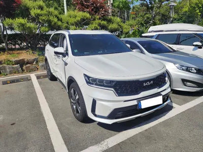 2021 Kia Sorento KNARL81GBNA083076 VIN:KNARL81GBNA083076