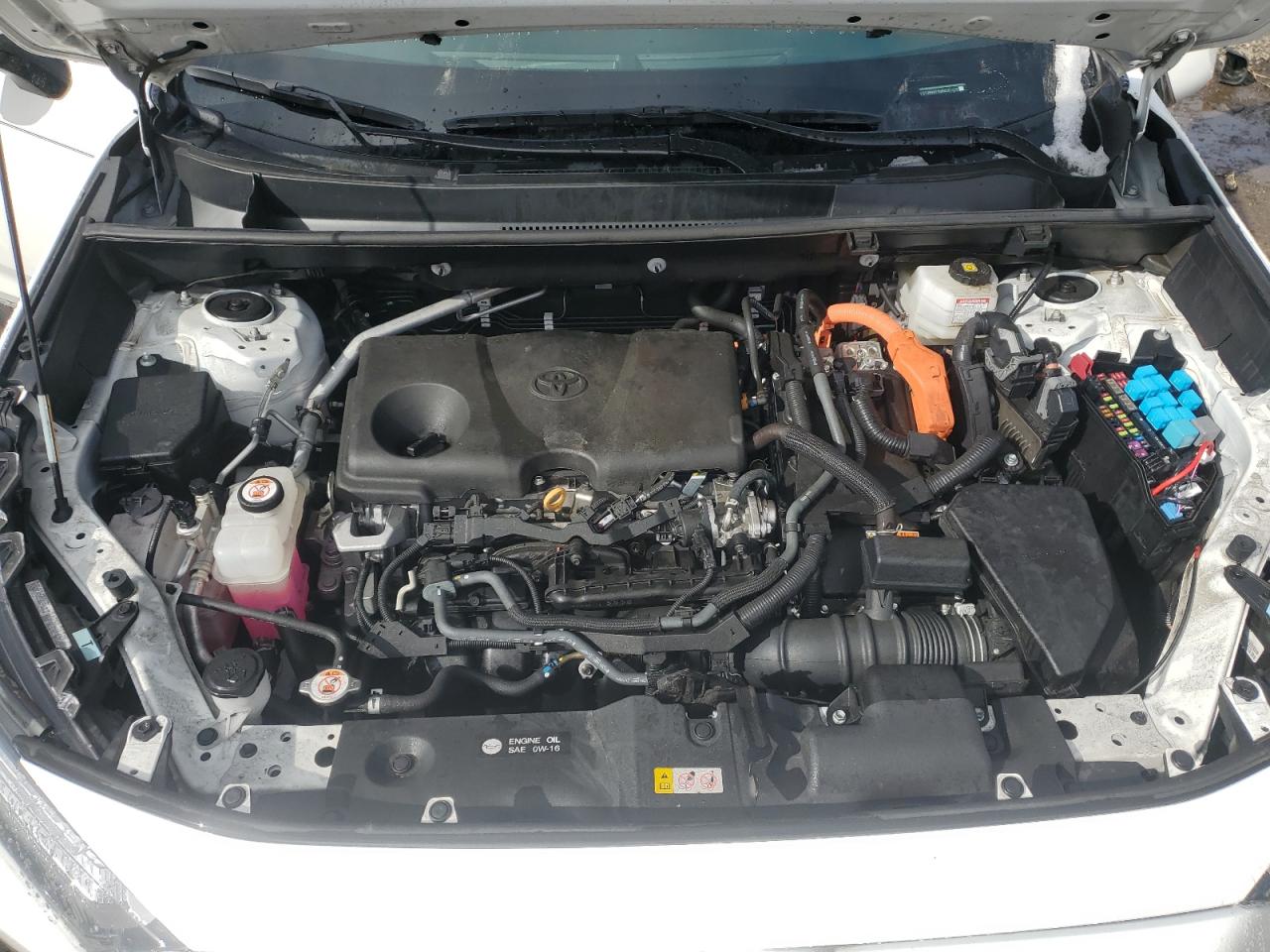 2024 TOYOTA RAV4 LE VIN:2T3MWRFV0RW201428