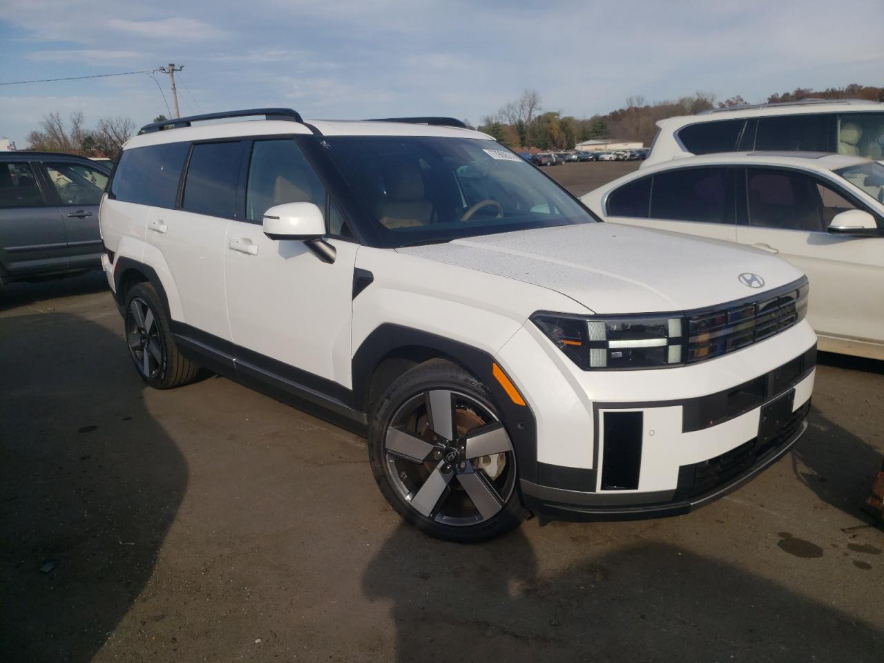 2024 HYUNDAI SANTA FE LIMITED VIN:5NMP4DGLXRH013233