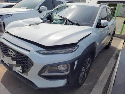 2018 Hyundai Kona KMHK3816GJU144236 VIN:KMHK3816GJU144236