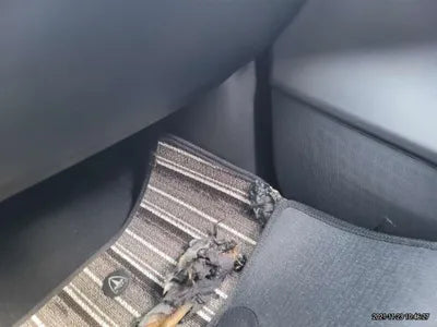 2020 Tesla Model 3 5YJ3E1EA5LF756516 VIN:5YJ3E1EA5LF756516