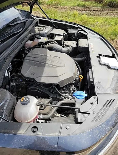 2021 Kia Sorento KNARM81BGMA020683 VIN:KNARM81BGMA020683