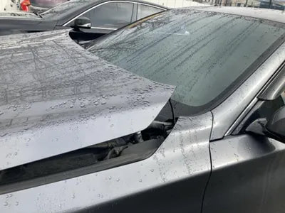 2016 Infiniti Q50 JNKAV71EXGM560036 VIN:JNKAV71EXGM560036