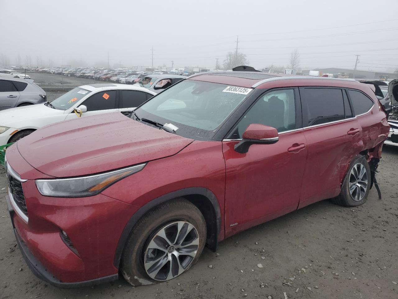 2023 TOYOTA HIGHLANDER HYBRID XLE VIN:5TDKBRCH3PS124991