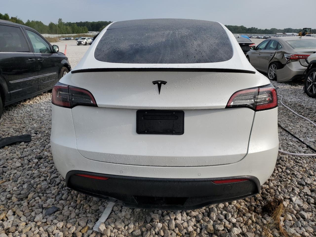 2022 TESLA MODEL Y  VIN:7SAYGAEE0NF521885