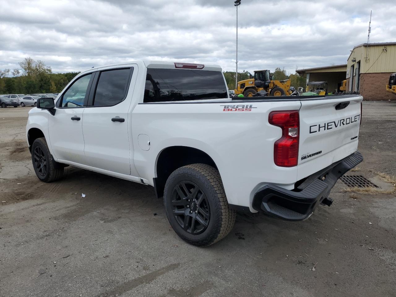 2024 CHEVROLET SILVERADO K1500 TRAIL BOSS CUSTOM VIN:3GCUDCED1RG304580