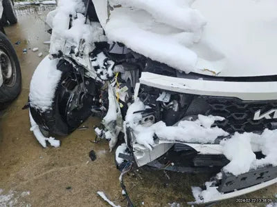 2022 Kia Sorento KNARL81GBNA112583 VIN:KNARL81GBNA112583