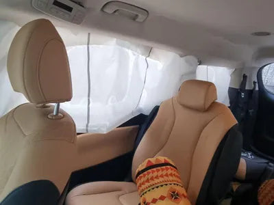 2020 Kia Carnival KNANC81BBMS015175 VIN:KNANC81BBMS015175