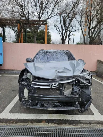 2017 Hyundai Santa FE 006KMKMHSW81UBHU7 VIN:006KMKMHSW81UBHU7