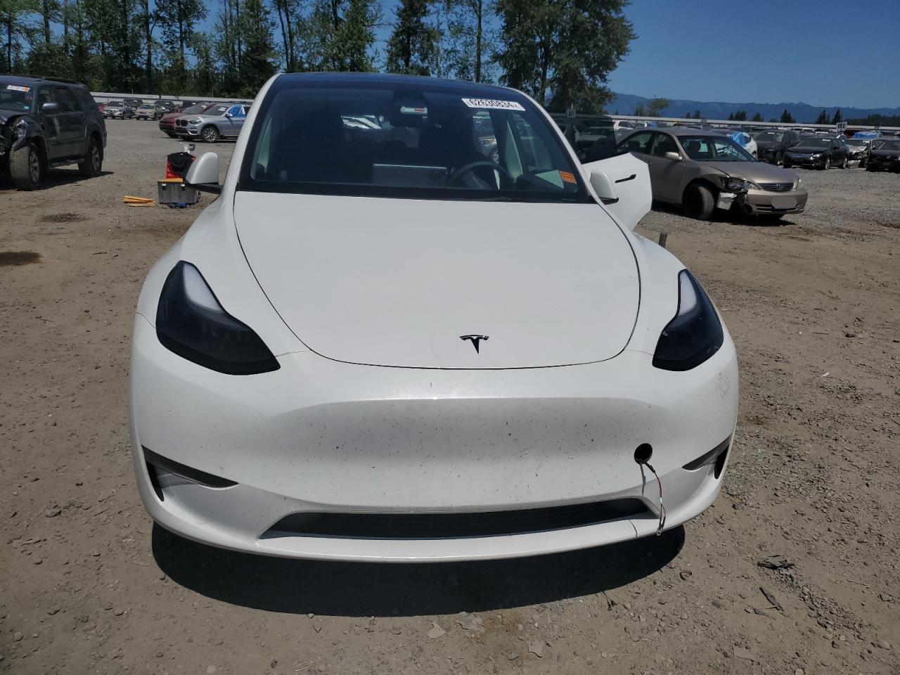 2023 TESLA MODEL Y  VIN:7SAYGDEE8PF764543