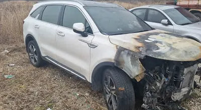 2021 Kia Sorento KNARH81GBMA021079 VIN:KNARH81GBMA021079