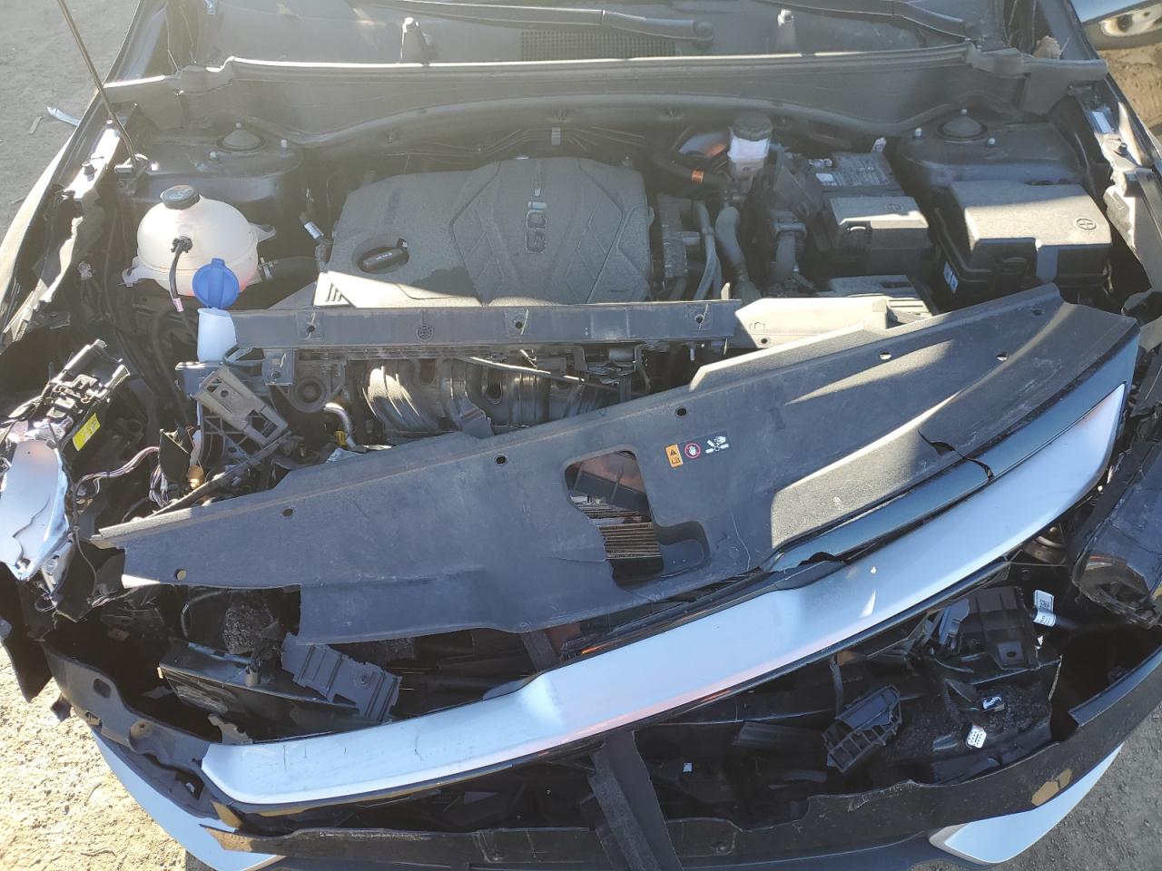 2023 KIA SPORTAGE EX VIN:5XYK33AF6PG133662