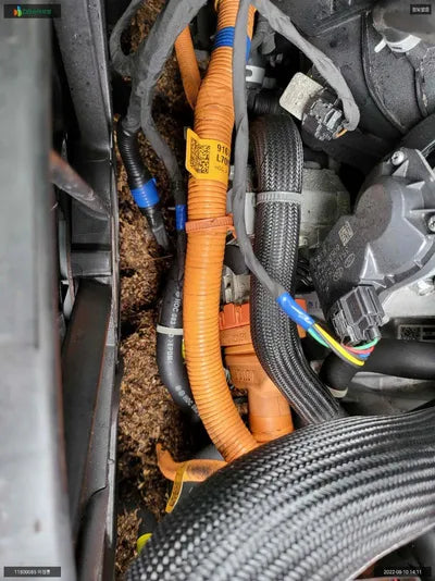 2021 Kia K5 KNAG541JBNA019546 VIN:KNAG541JBNA019546