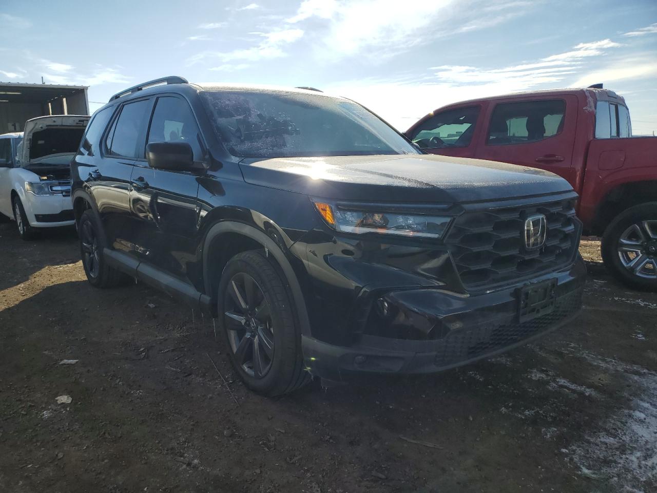 2023 HONDA PILOT SPORT VIN:5FNYG1H33PB003487