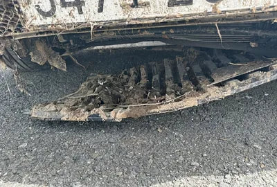 2020 Mercedes-Benz E 300 W1KZF5EB5LA817918 VIN:W1KZF5EB5LA817918