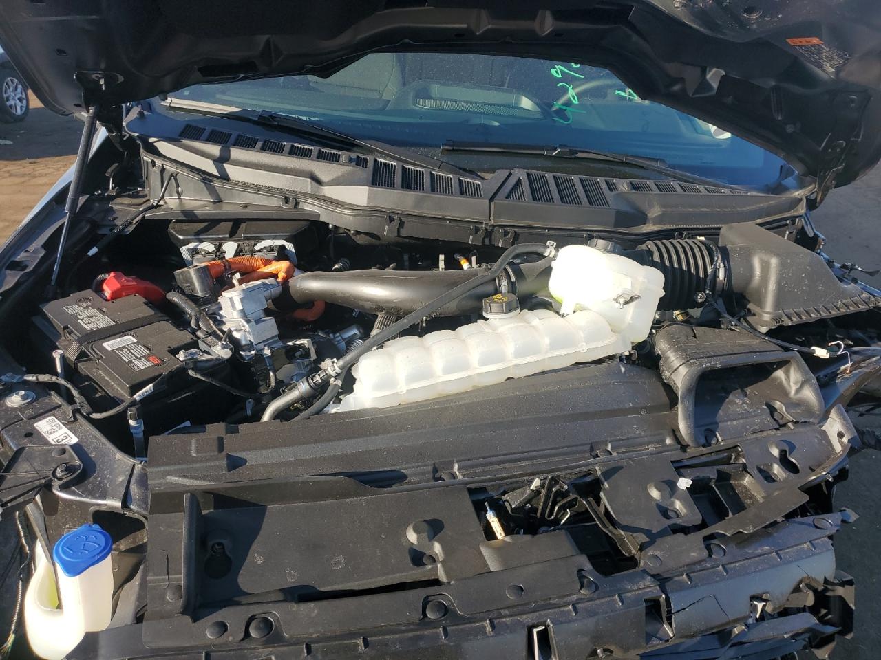 2024 FORD F150 XLT VIN:1FTFW3LDXRFB82552