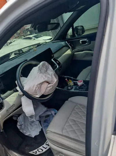 2022 Kia Sorento KNARG81GBNA101511 VIN:KNARG81GBNA101511