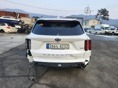 2021 Kia Sorento KNARH81FGMA090596 VIN:KNARH81FGMA090596