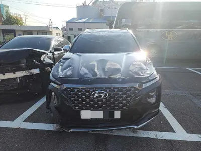 2019 Hyundai Santa FE KMHS381ADKU074587 VIN:KMHS381ADKU074587