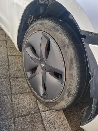 2019 Tesla Model 3 5YJ3E1EA4LF585502 VIN:5YJ3E1EA4LF585502