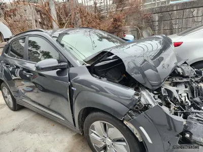 2019 Hyundai Kona KMHK381GFKU060030 VIN:KMHK381GFKU060030