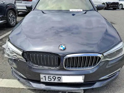 2019 BMW 520 WBAJK9103LBR78581 VIN:WBAJK9103LBR78581