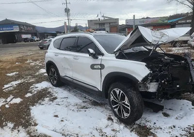 2019 Hyundai Santa FE KMHS381BBKU035744 VIN:KMHS381BBKU035744
