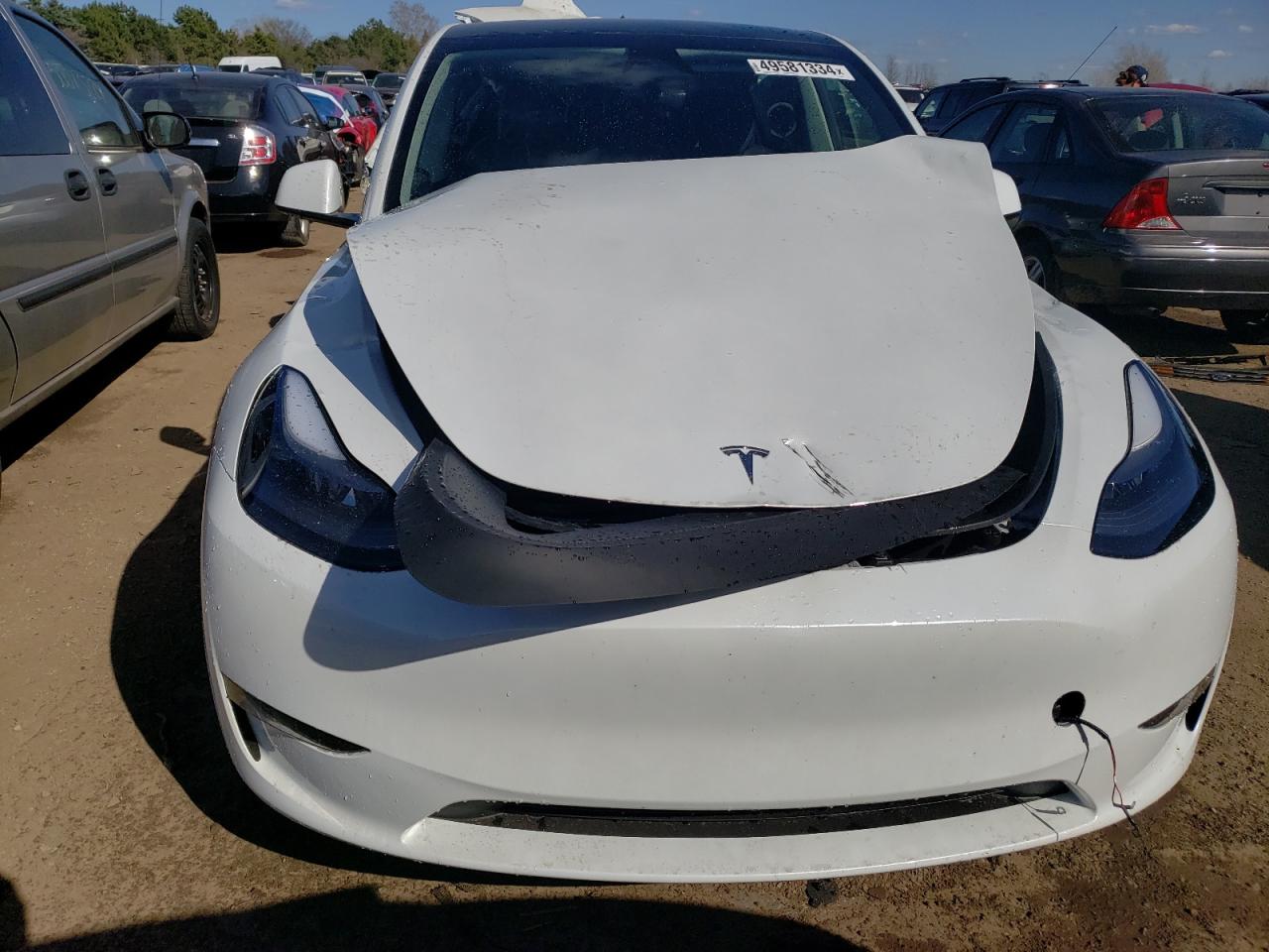 2024 TESLA MODEL Y  VIN:7SAYGDEE8RA251941