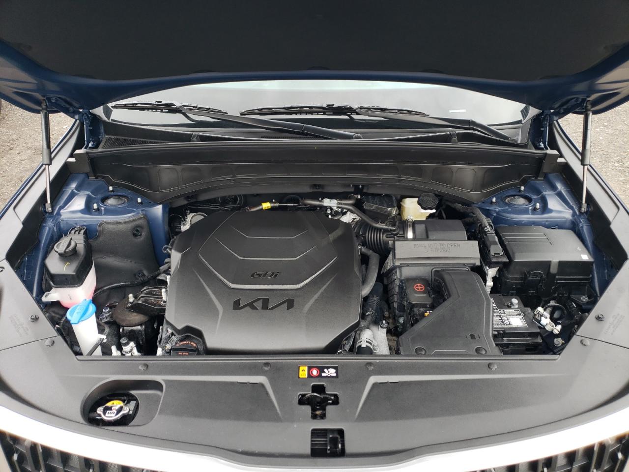 2024 KIA TELLURIDE EX VIN:5XYP34GC2RG561966